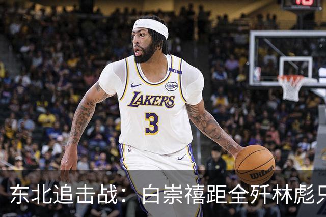 东北追击战:白崇禧距全歼林彪只差一道命令,历史差点被改写!